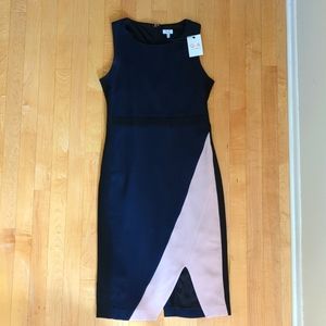 Q+A Navy Colorblock Dress